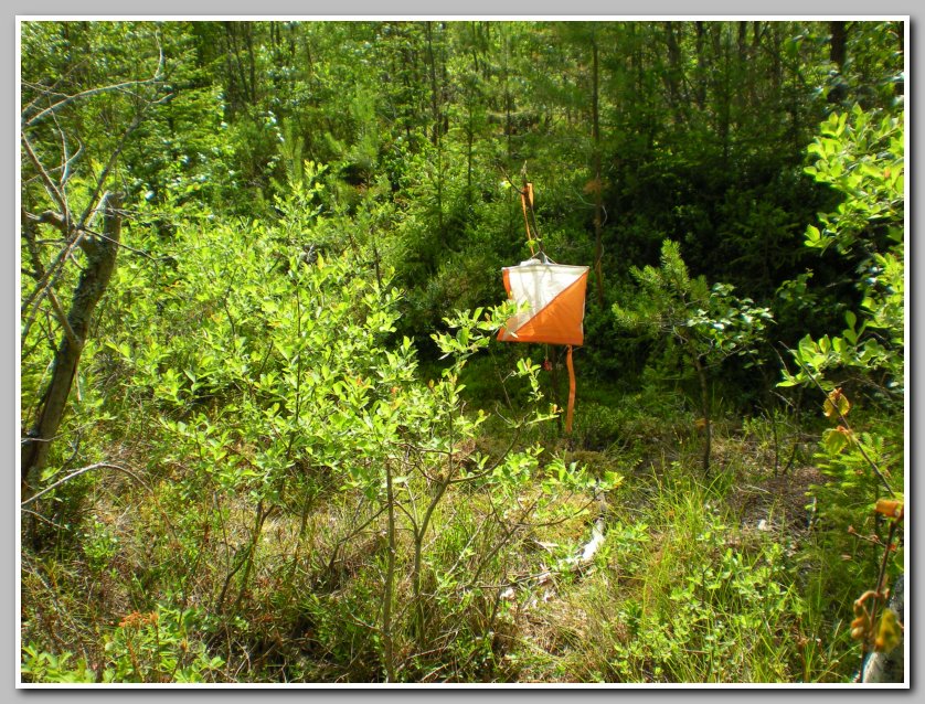 puskala 3.7.2009 083